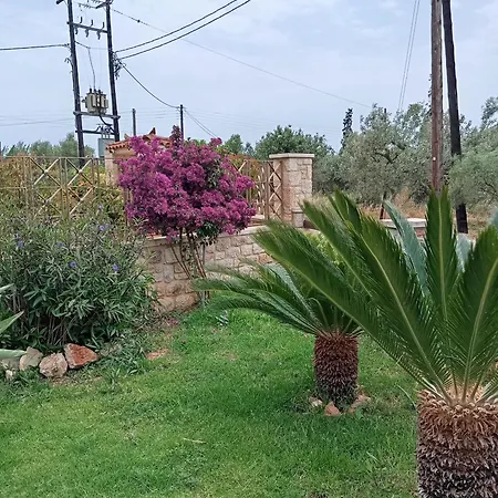 Niko's Stone