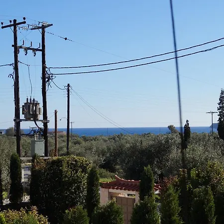 Niko's Stone プリトラ