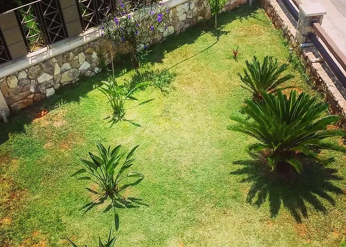 Niko's Stone פליטרה