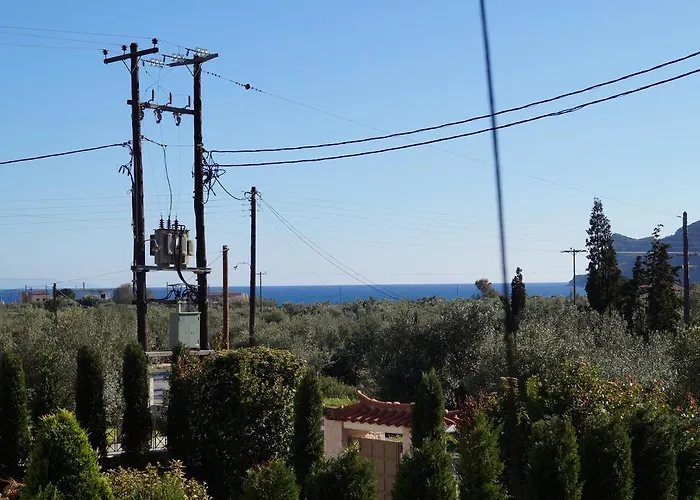 Niko's Stone פליטרה